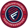 欧兹德绍约沃什杰